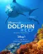 Dolphin Reef