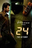 24
